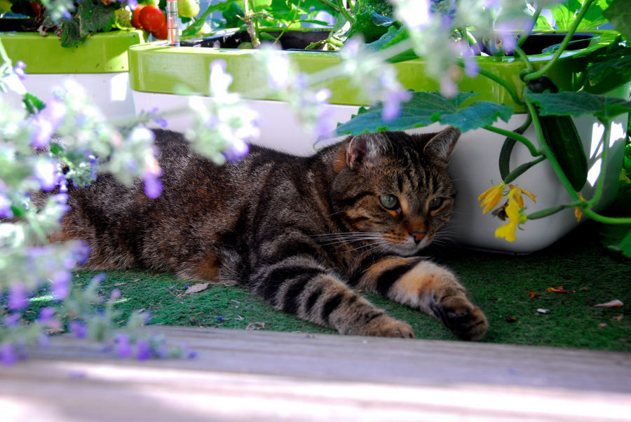 Leonie auf dem Balkon