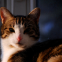dsc0278.jpg